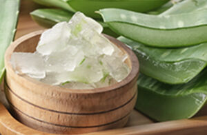 Image of aloe vera gel in a wooden bowl with the aloe vera plant leaves laying behind the bowl.