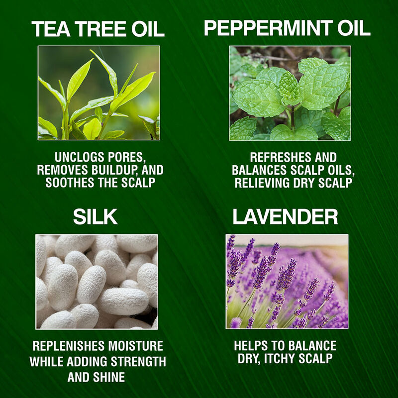 Tea Tree Oil Conditioner, , large image number null