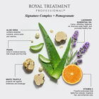 Royal Treatment Color Gloss Blonde Enhancing Purple Conditioner - 12 Ounces, , large image number null