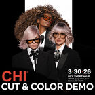 Cut and Color Demonstration, , large image number null