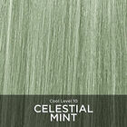 Tone and Gloss - Celestial Mint - Cool Level 10, Celestial Mint - Cool Level 10, large image number null