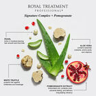 Royal Treatment Color Gloss Intro Kit, , large image number null