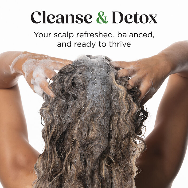 Scalp-ology Purifying Shampoo | CHI Haircare