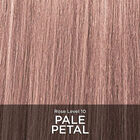 Tone and Gloss - Pale Petal, Pale Petal, large image number null