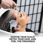 Royal Treatment Scalp Care Intro Kit, , large image number null