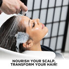 Royal Treatment Scalp Care Essentials Kit, , large image number null