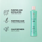 Royal Treatment Scalp Care Intro Kit, , large image number null