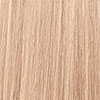 Ionic 10B Hair Swatch