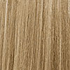 Ionic 9N Hair Swatch
